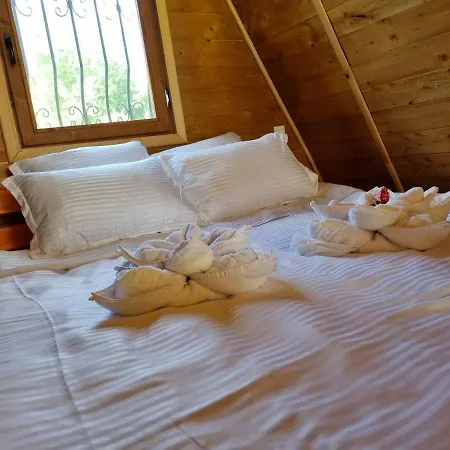 Doka Valea Sebesului A-frame * Sebeşu